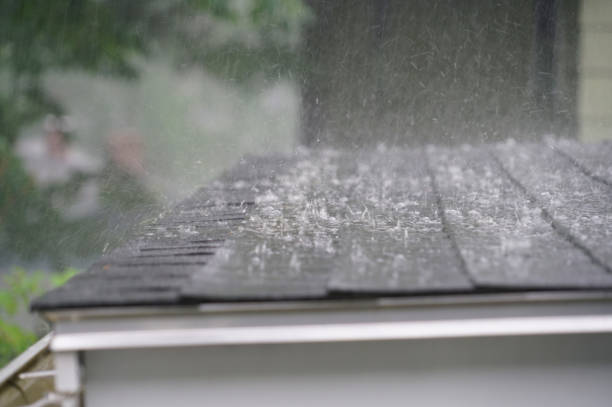 Best Solar Panel Roofing Installation  in Gosport, IN